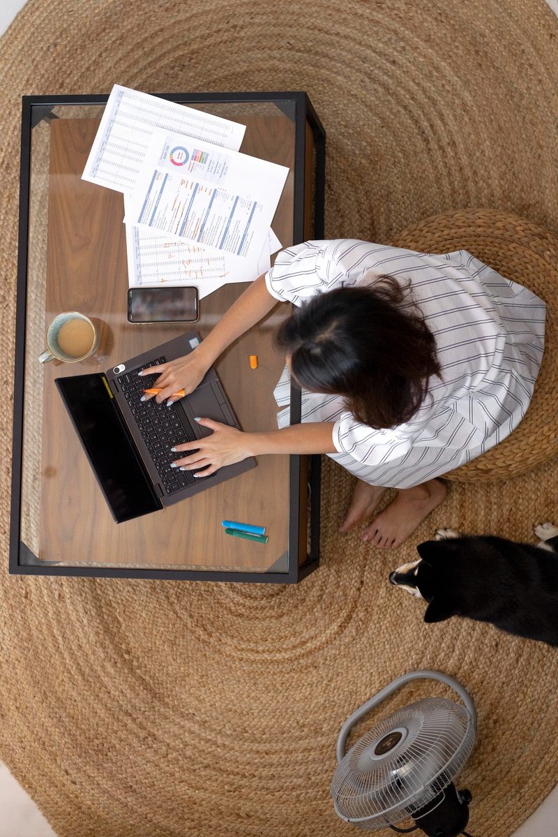 Quill's online learning platform on a student's screen