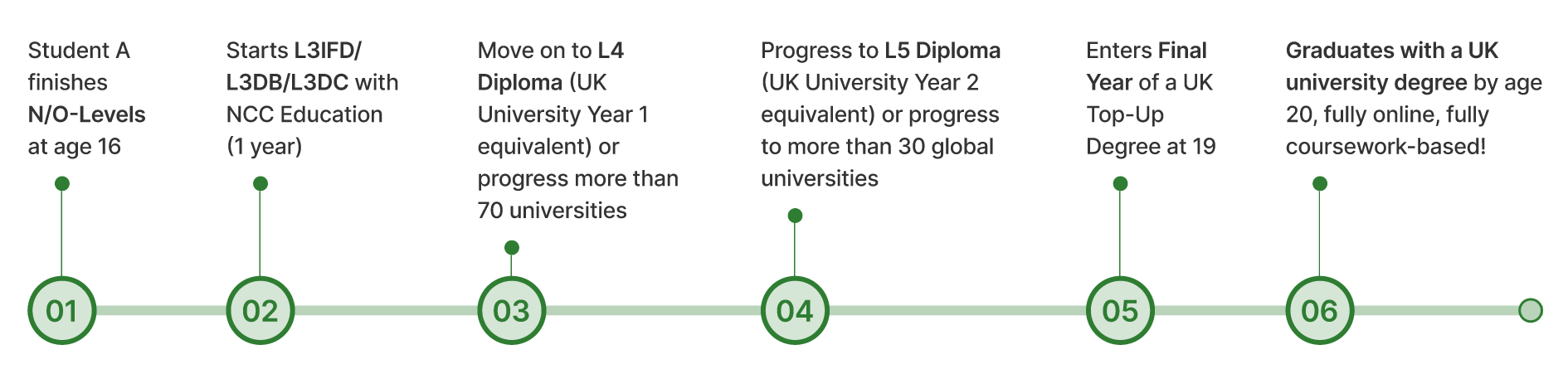 Educational Pathway Timeline